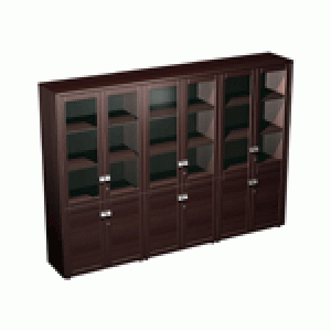 Шкаф для документов со стеклянными дверями (276x46x198)