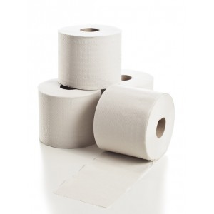 Туалетная бумага 60 м                                (на втулке 40 мм)